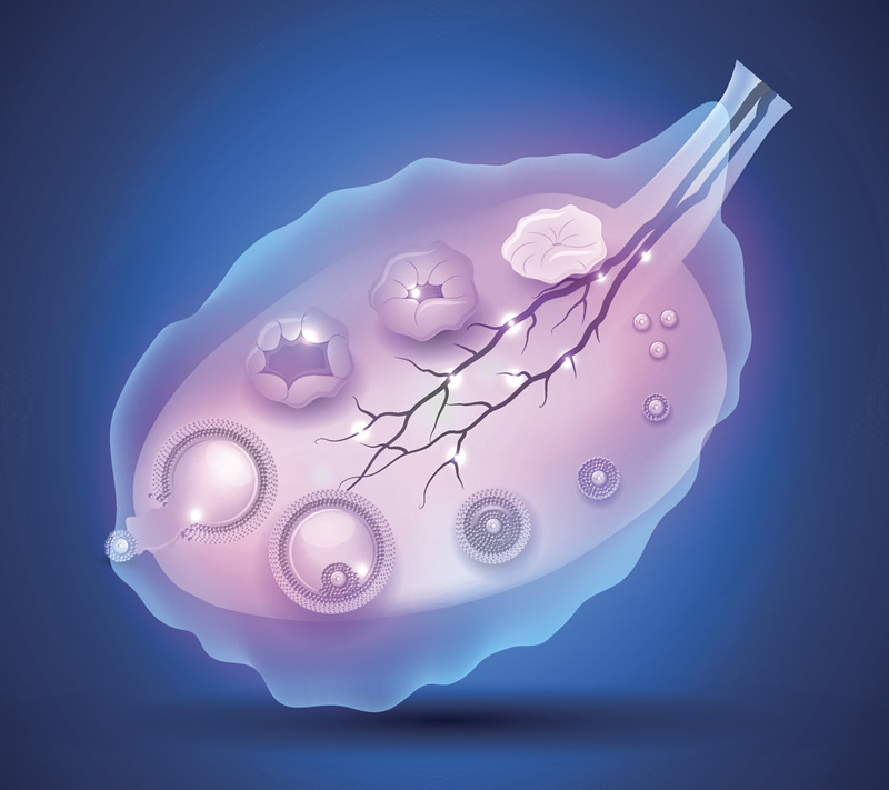 哈尔滨古药大学试管技术怎么样？